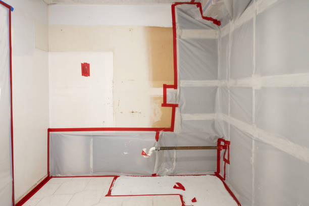 Best Commercial Mold Inspection  in Honea Path, SC
