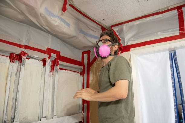 Best Asbestos and Lead Testing During Mold Inspection  in Honea Path, SC