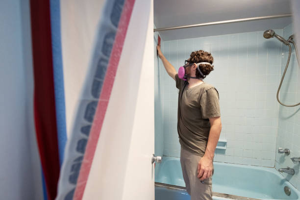 Best Mold Remediation for Healthcare Facilities  in Honea Path, SC