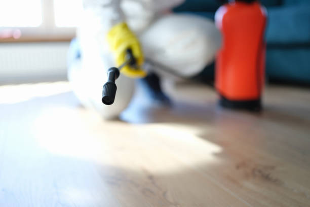 Best Mold Prevention Services  in Honea Path, SC