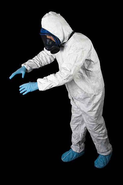 Professional Mold Removal in Honea Path, SC